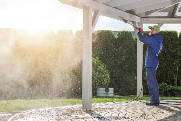 Best Warehouse Cleaning  in Round Lake Park, IL