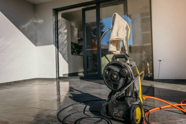 Best Pre-Holiday Cleaning  in Round Lake Park, IL