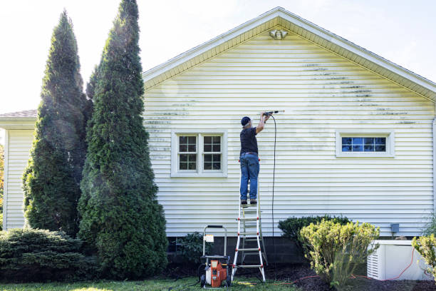 Best Sidewalk and Walkway Cleaning  in Round Lake Park, IL